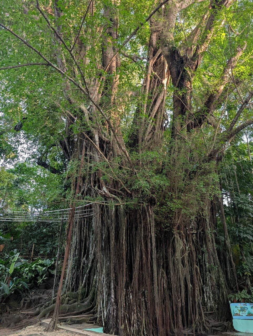 Unique Fish Spa Experience