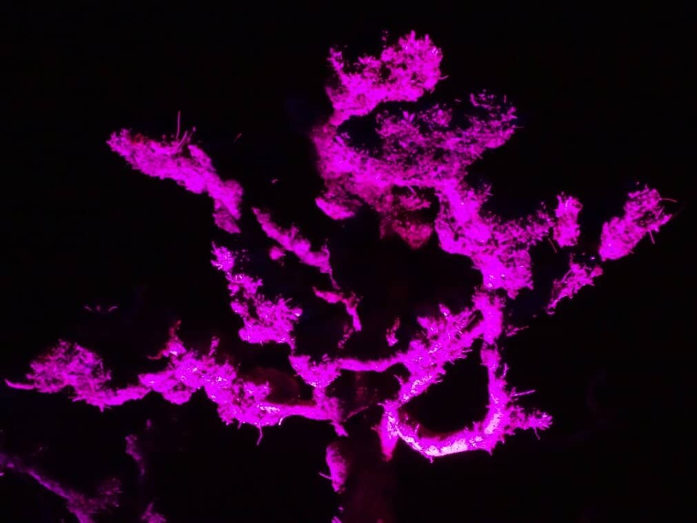 Kid-Friendly Splash Zones