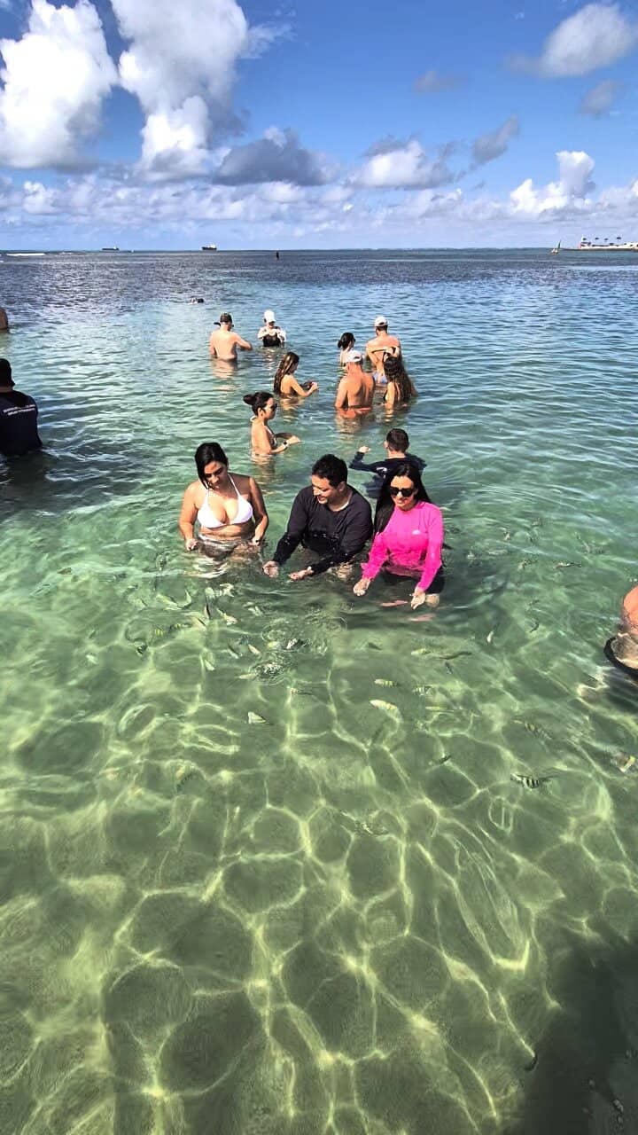 Photogenic Palm Trees