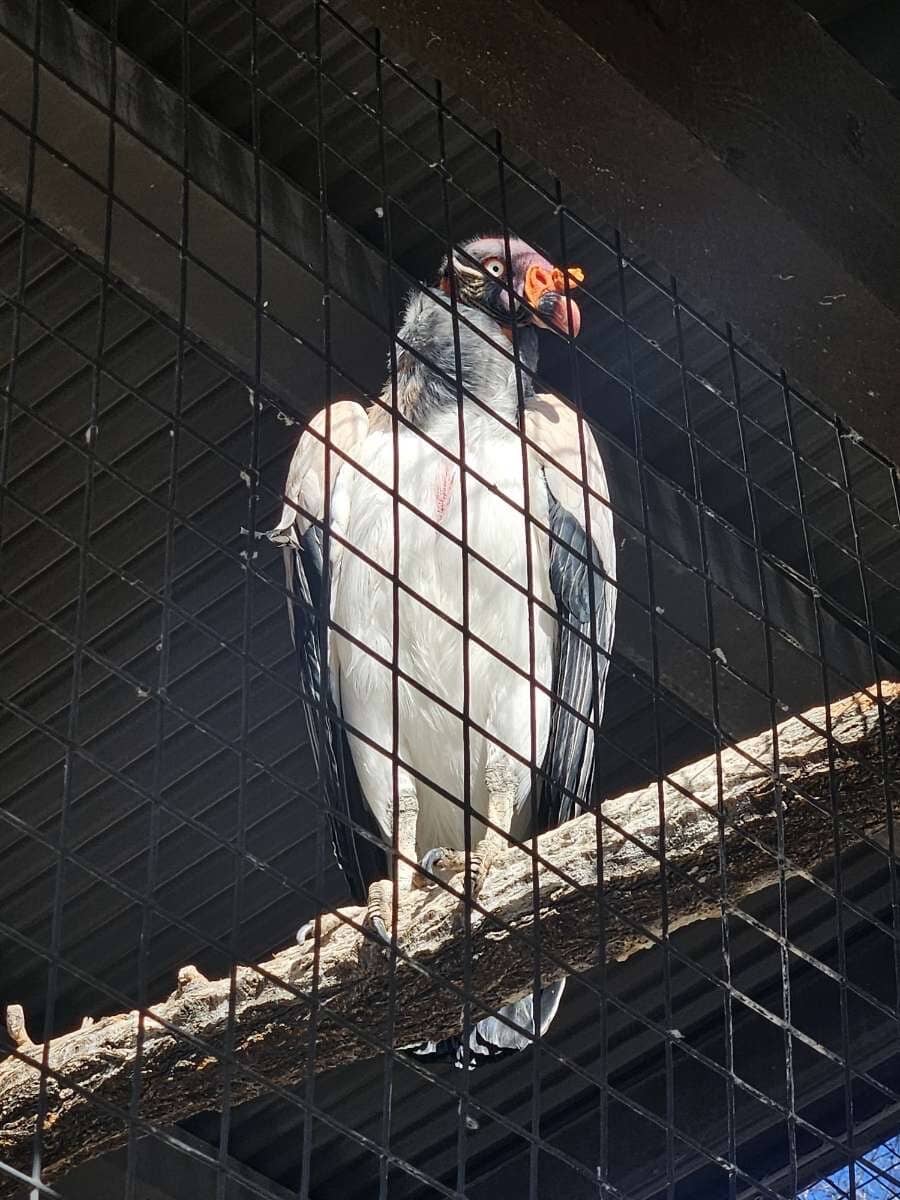 Pia Okwai & Jordan River