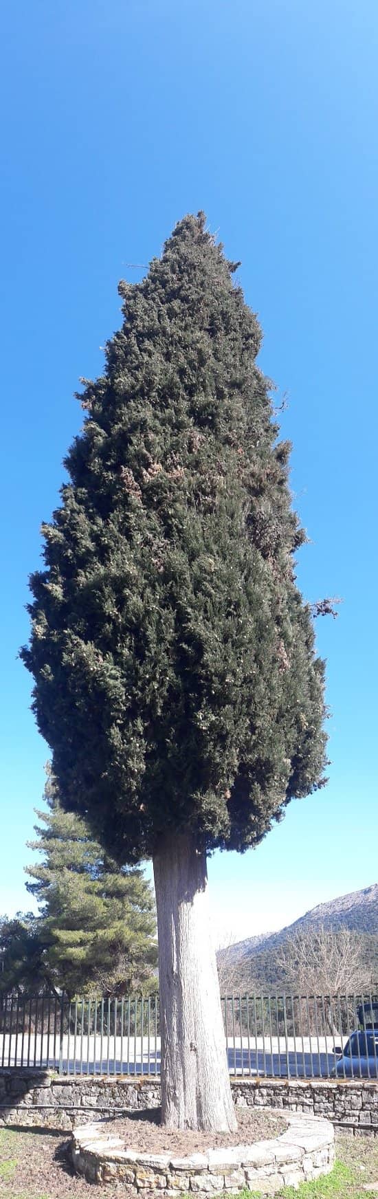 Vertical photo