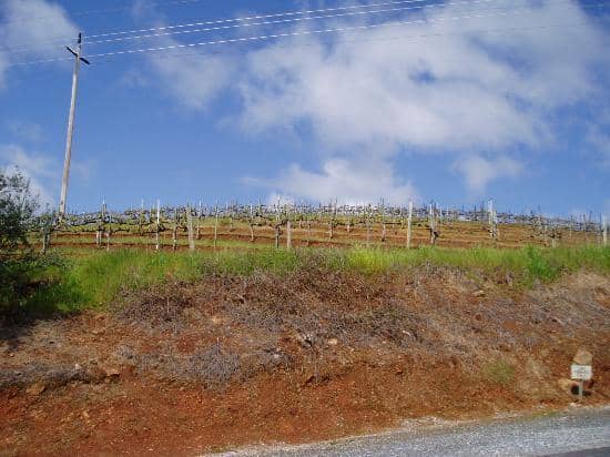 Outdoor Picnic Areas