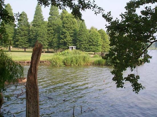 Scenic Sunrise Views