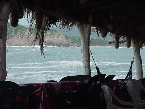 Fresh Seafood Dining