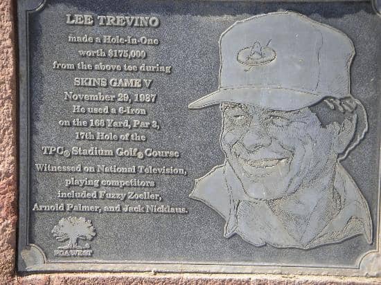 Panoramic Mountain Vistas