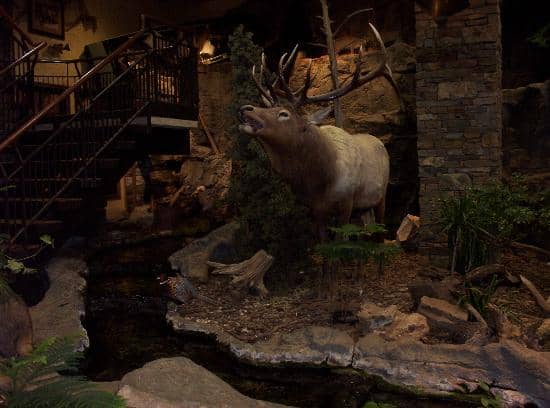 Extensive Outdoor Gear Selection