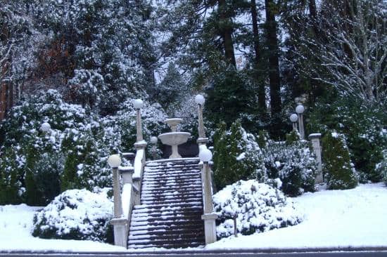 Playgrounds & Courts