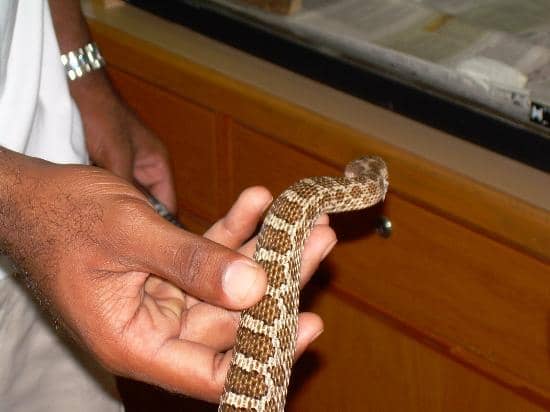 Nature Center Exhibits