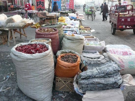 Beginner-Friendly Learning