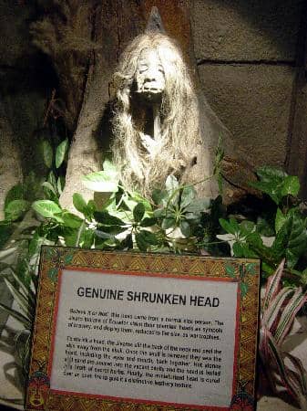 Interactive Exhibits & Secret Passages