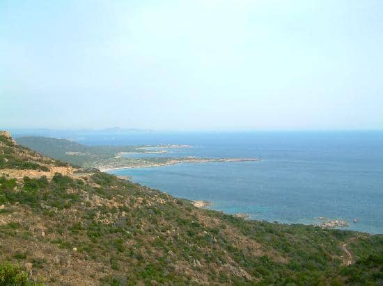 Wild Mediterranean Vegetation
