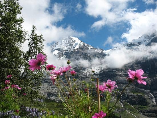 Fallbodensee Artificial Lake