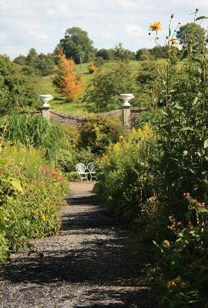 Enchanting Fairy Garden