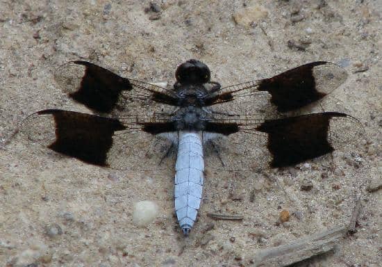 Kayaking/Rafting on Summit Lake