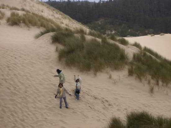 Coastal Lake & Forest Trails