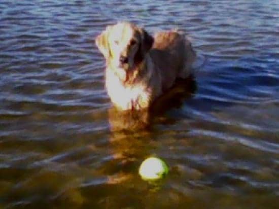 Post-Beach Wash Station