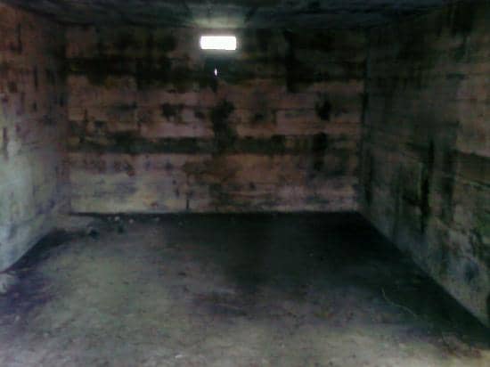 NC Aquarium at Fort Fisher