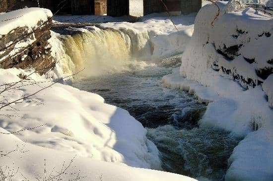 Hogs Back Park Trails