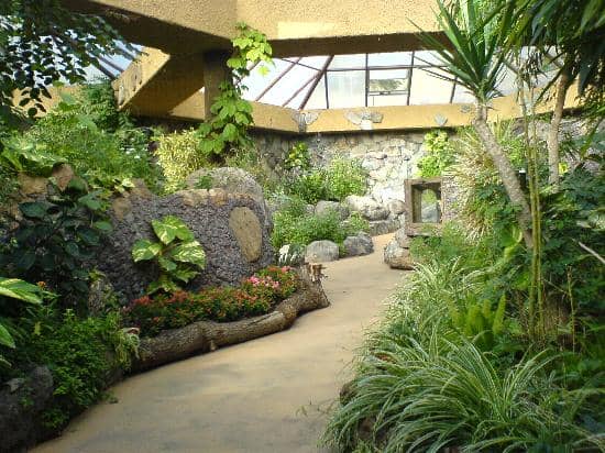 Butterfly House