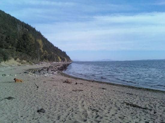 Live Music & Performances