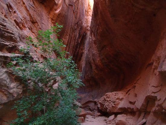 Waterpocket Fold Scenery