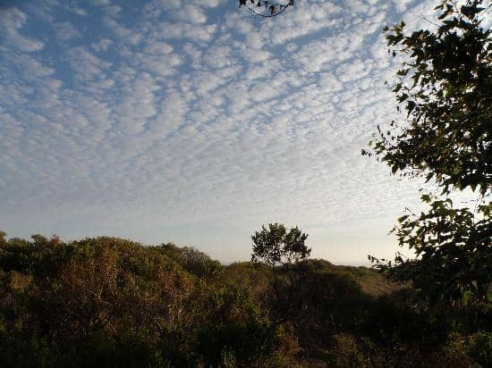 Coastal Hiking Trails
