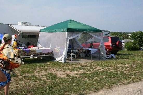 Ocean Views & Sounds