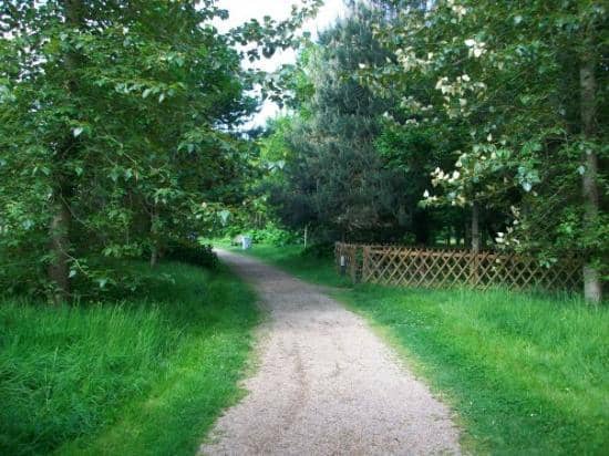 Shaded Walking Paths