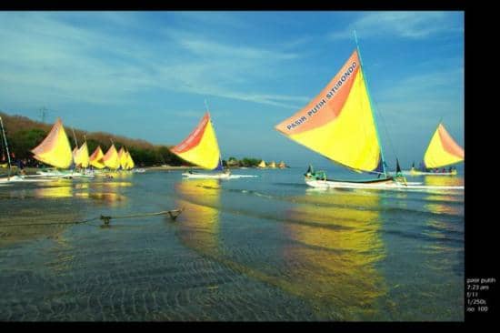 Local Culinary Delights