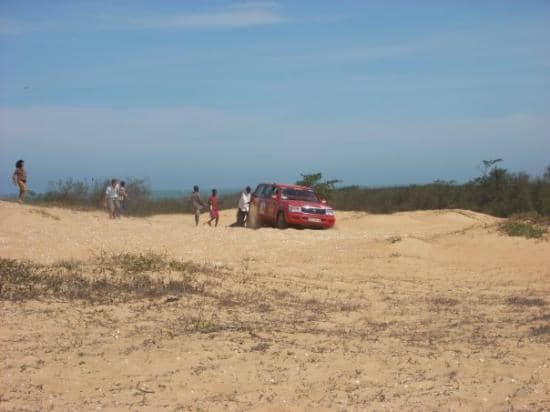 Street Food Delights