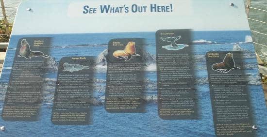 Tide Pools at Low Tide