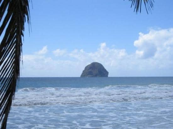 Proximity to Restaurants