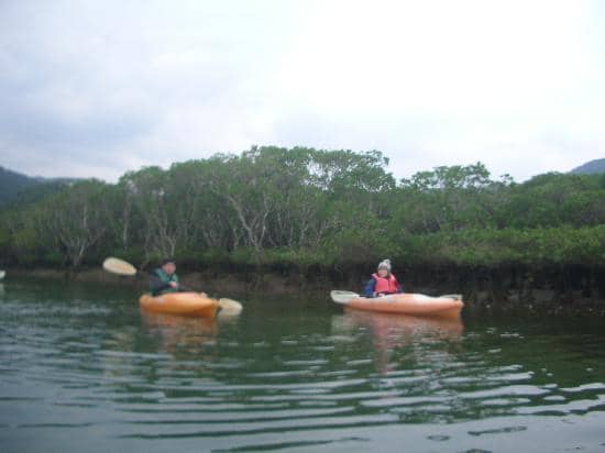 Discover Hidden Wildlife