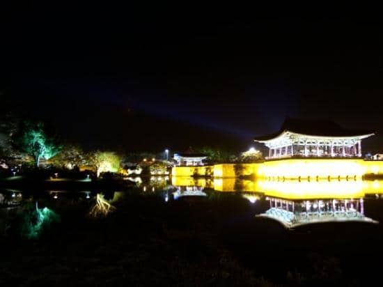 Wolji Pond at Night