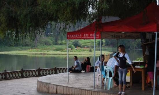 Tranquil Lakes and Pine Forests