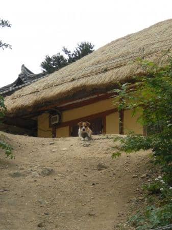 World Heritage Garden