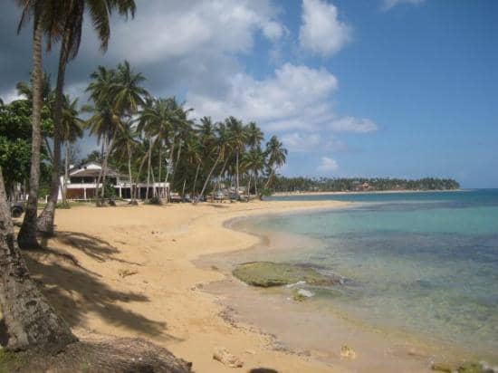 Abundant Marine Life