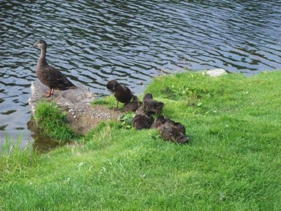 Extensive Trail Network