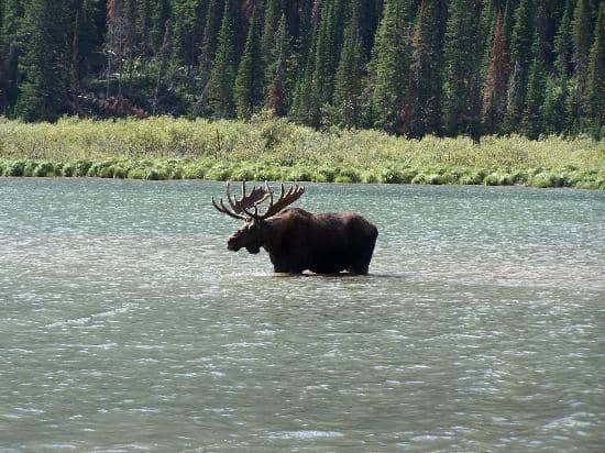 Crypt Lake Trail Adventure