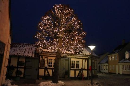 Shoemaking Tools Display