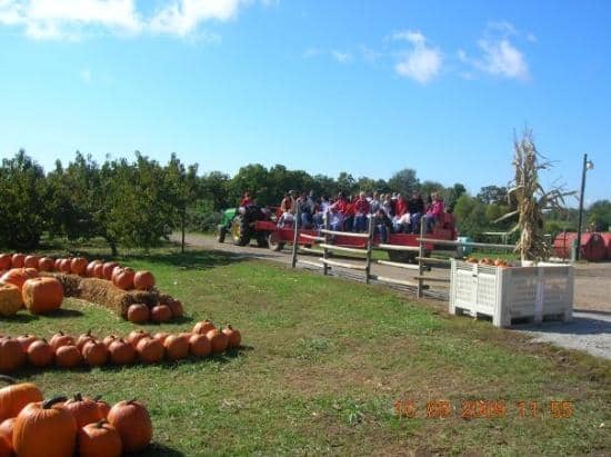 Seasonal Treats & Cider Shed