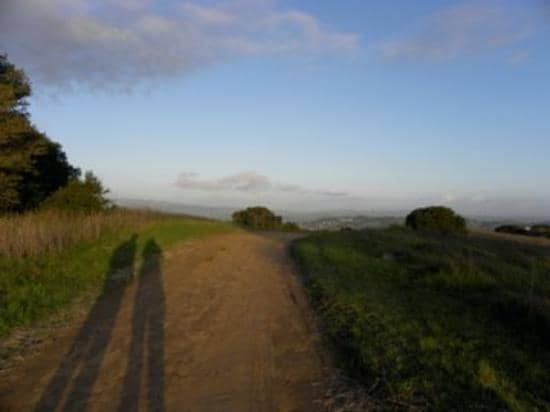Panoramic Petaluma Vistas