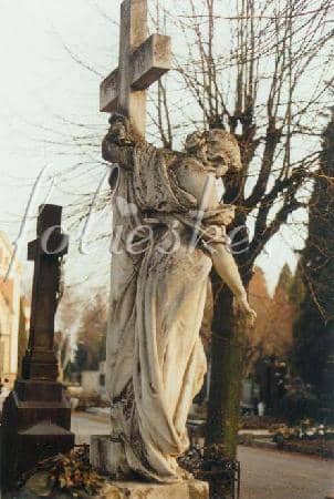 War Memorials & Graves