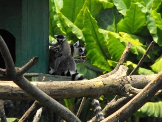 Botanical Garden & Lake