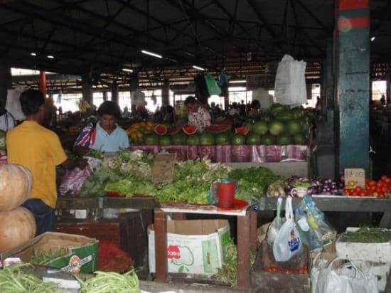 Vibrant Produce Displays