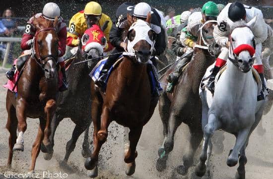 Live Thoroughbred Racing