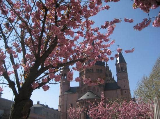 Mainz Cathedral (Mainzer Dom)