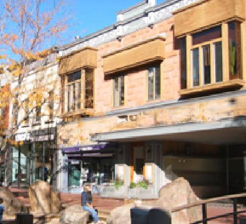 Seasonal Tulip Displays