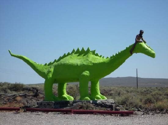 Gift Shop & Souvenirs