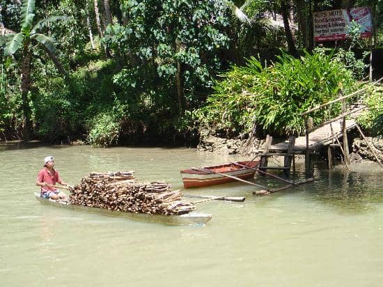 Scenic River Journey